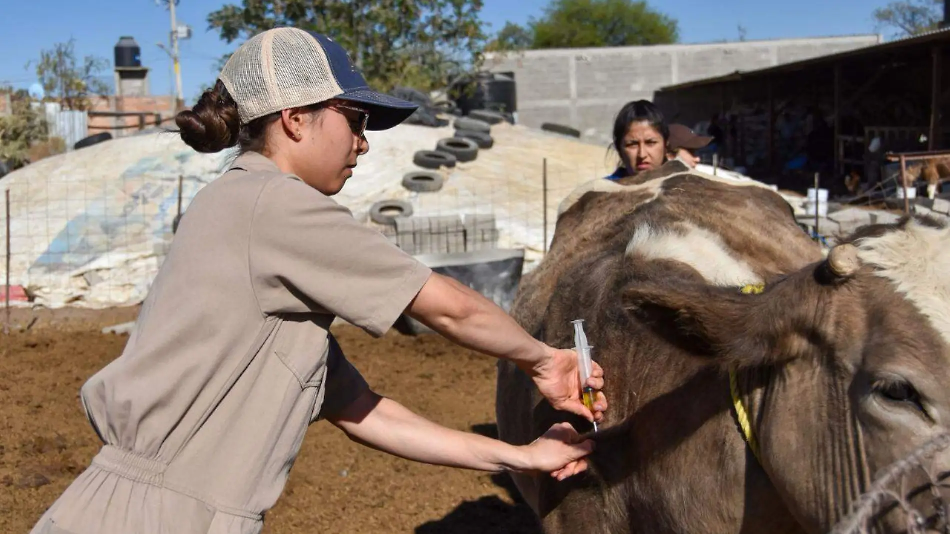 GOB VETERINARIOS